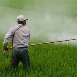 Fertilizer Industries